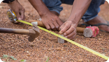 الاستجابة الإنسانية
