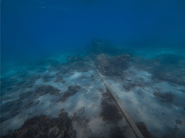 Submarine cable network